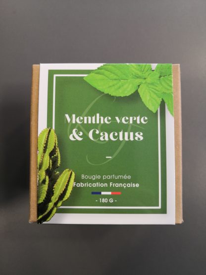 Bougie DUO 'Cactus & Menthe', 180g, Les lumières du Temps®-3