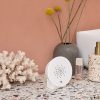 Oceanbox blanche, relaxound®-6