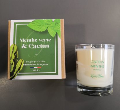 Bougie 'Cactus & Menthe', 180g, Les lumières du Temps®-1