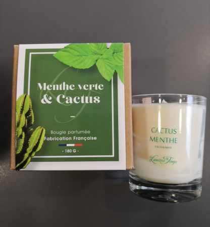 Bougie 'Cactus & Menthe', 180g, Les lumières du Temps®-2