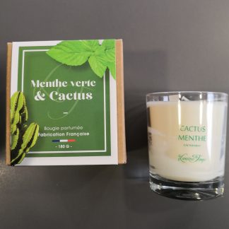 Bougie 'Cactus & Menthe', 180g, Les lumières du Temps®-1